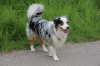 2013_05_11 Aussie-Treffen Maulbronn 78.jpg