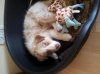 2013-05-19 11.28.34.jpg
