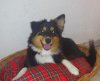 DSC_0892-2.jpg