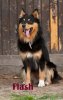 DSC_1912 Kopie.jpg