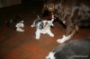 IMG-20130519-WA0005.jpg