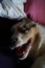 DSC00793.jpg