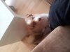2013-05-20 10.40.39.jpg