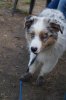 DSC01142.jpg