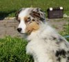 DSC01090.jpg