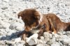 DSC09569.jpg