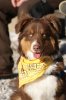 DSC07577.jpg
