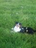 DSC00291.jpg