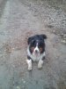 DSC00687.jpg