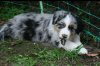 2013-05-16_23-04-00_1.jpg