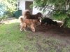 IMG-20130611-WA0005.jpg