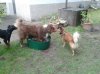 IMG-20130611-WA0007.jpg