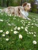 2010-04-27 15.15.27.jpg