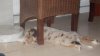 IMGP0841.jpg