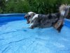 20130617_193737.jpg