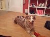 20121205_174834.jpg