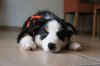 DSC03933.jpg