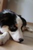 DSC03943.jpg