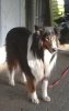 luckyluke.jpg