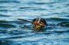 SL-20130515-20130515-20130515_128-3.jpg