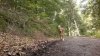 x2013-07-07-4346.jpg
