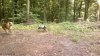 x2013-07-07-4373.jpg