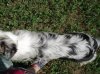 DSC01834.jpg