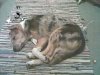 13-12-08_0001.jpg