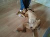 2012-07-13 17.23.57.jpg