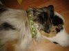 2012-07-13 21.55.31.jpg
