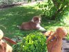 20120717_175247.jpg