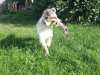 Bild 124.jpg