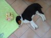 DSC02822.jpg