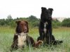 2012-07-13 15 Kopie.jpg