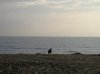 2012-07-12 05 Kopie.jpg