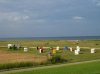 2012-07-11 03 Kopie.jpg
