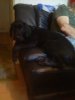DSC02052.jpg