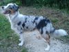 DSC02314.jpg