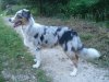 DSC02315.jpg
