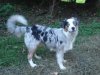DSC02313.jpg