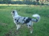 DSC02331.jpg