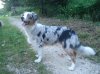 DSC02317.jpg