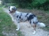 DSC02316.jpg