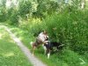 Woodstock und Rumo 028.jpg