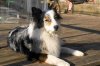 DSC03755.jpg