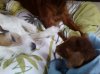 Foto0072_001.jpg
