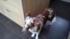 WP_20130628_002.jpg