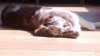 WP_20130629_002.jpg