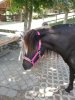 20130725_152438.jpg
