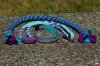 IMG_06007590.jpg